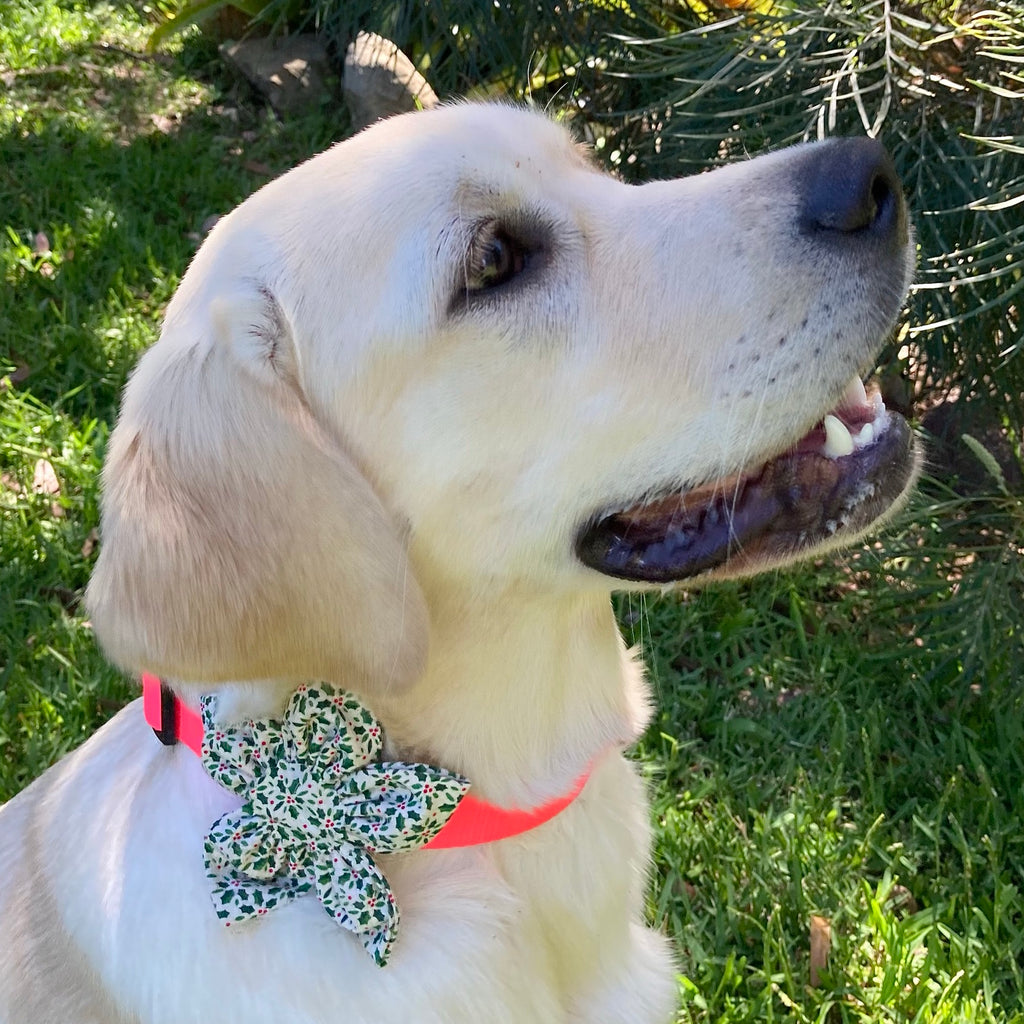 Ditsy Holly Sprigs Collar Flower