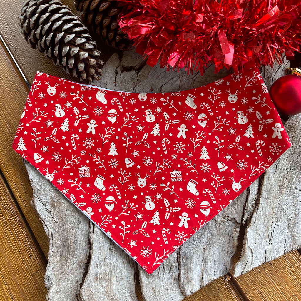 Christmas Collection - RED FESTIVE FUN