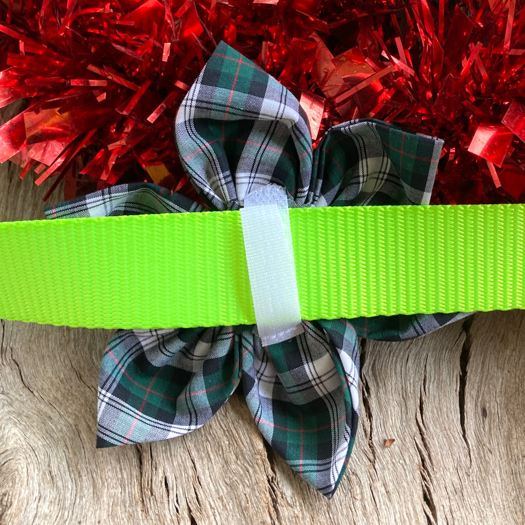 Christmas Collection - GREEN TARTAN