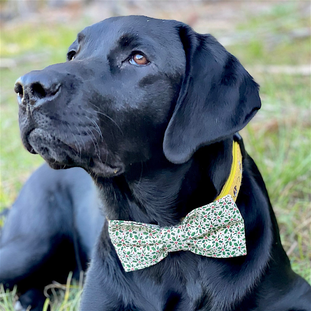 Xmas Dog Bow Tie, "HOLLY SPRIGS"