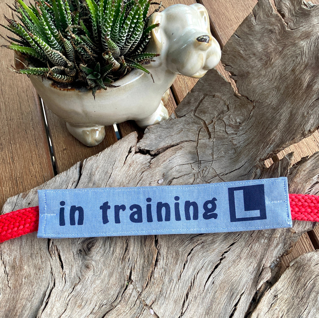 "IN TRAINING" Lead/Collar Strap - Chambray Denim