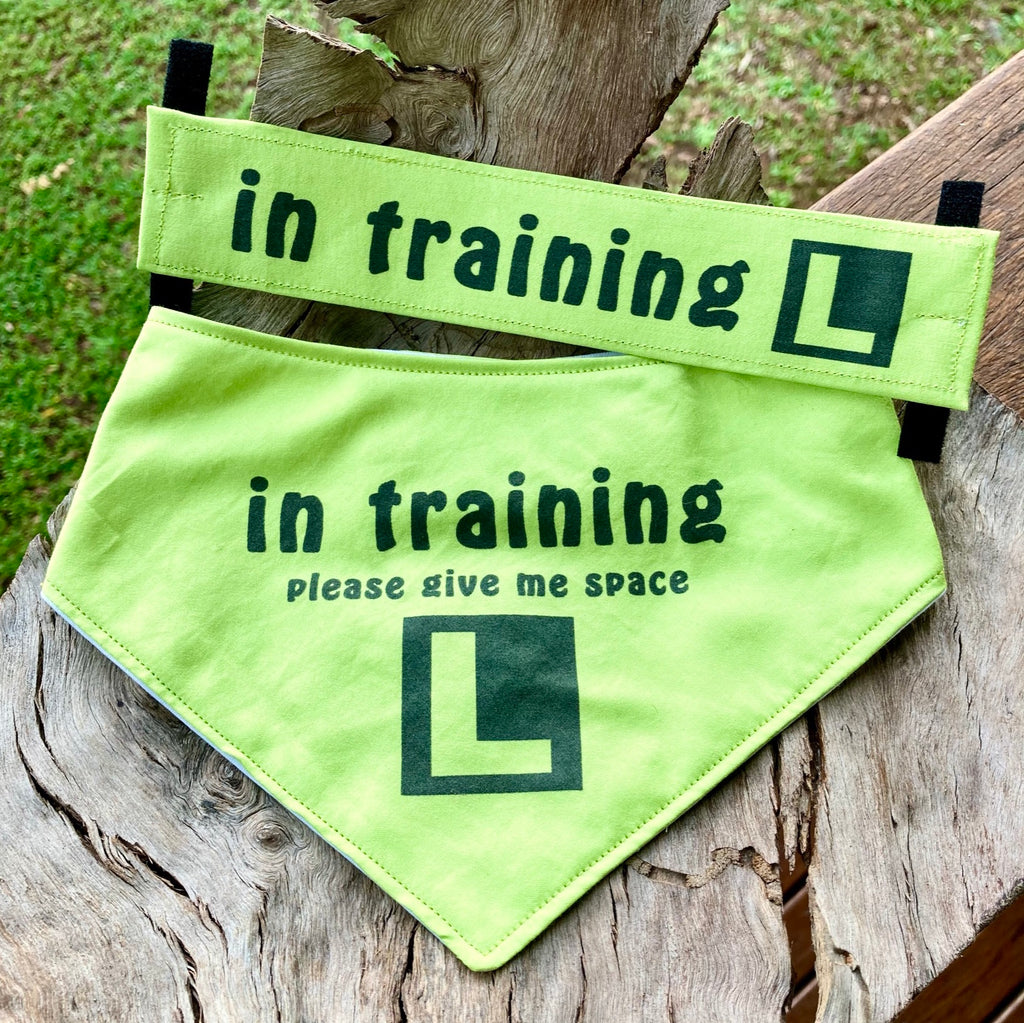 "IN TRAINING" Bandana and Lead/Collar Strap Set" - Lime Green