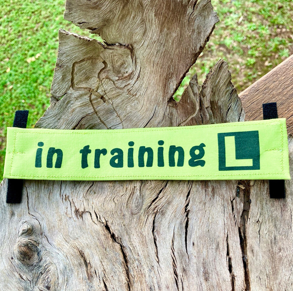 "IN TRAINING" Bandana and Lead/Collar Strap Set" - Lime Green