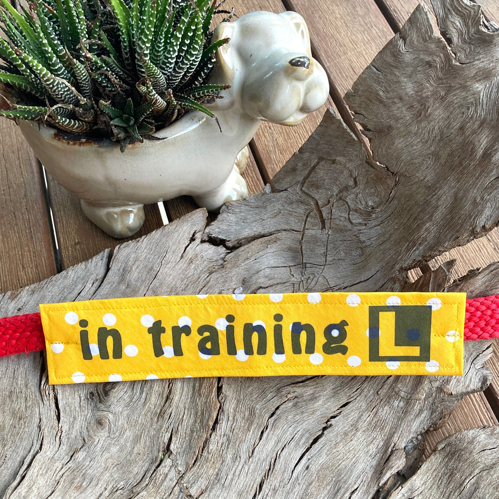 "IN TRAINING" Lead/Collar Strap - Yellow Big Spots