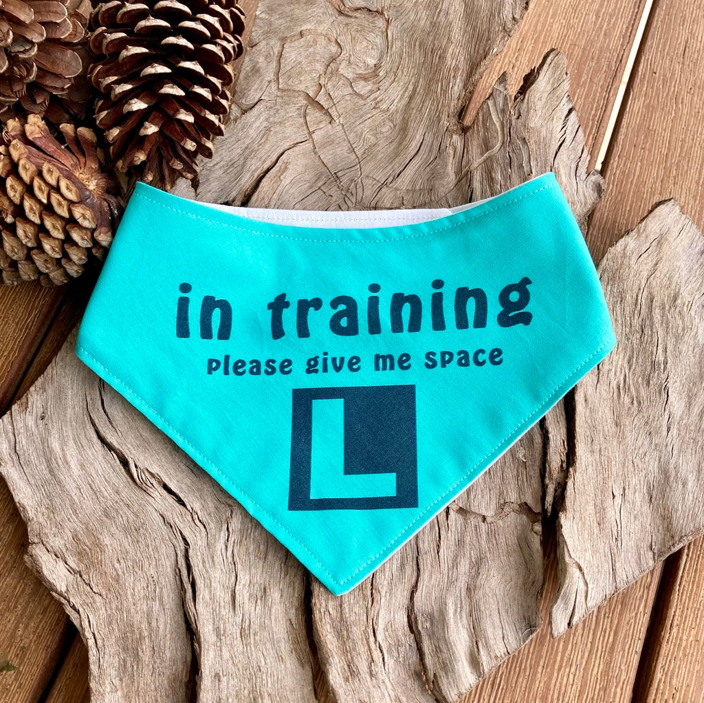 "In Training Please Give Me Space - L Plate" Handmade Dog Bandana - Teal