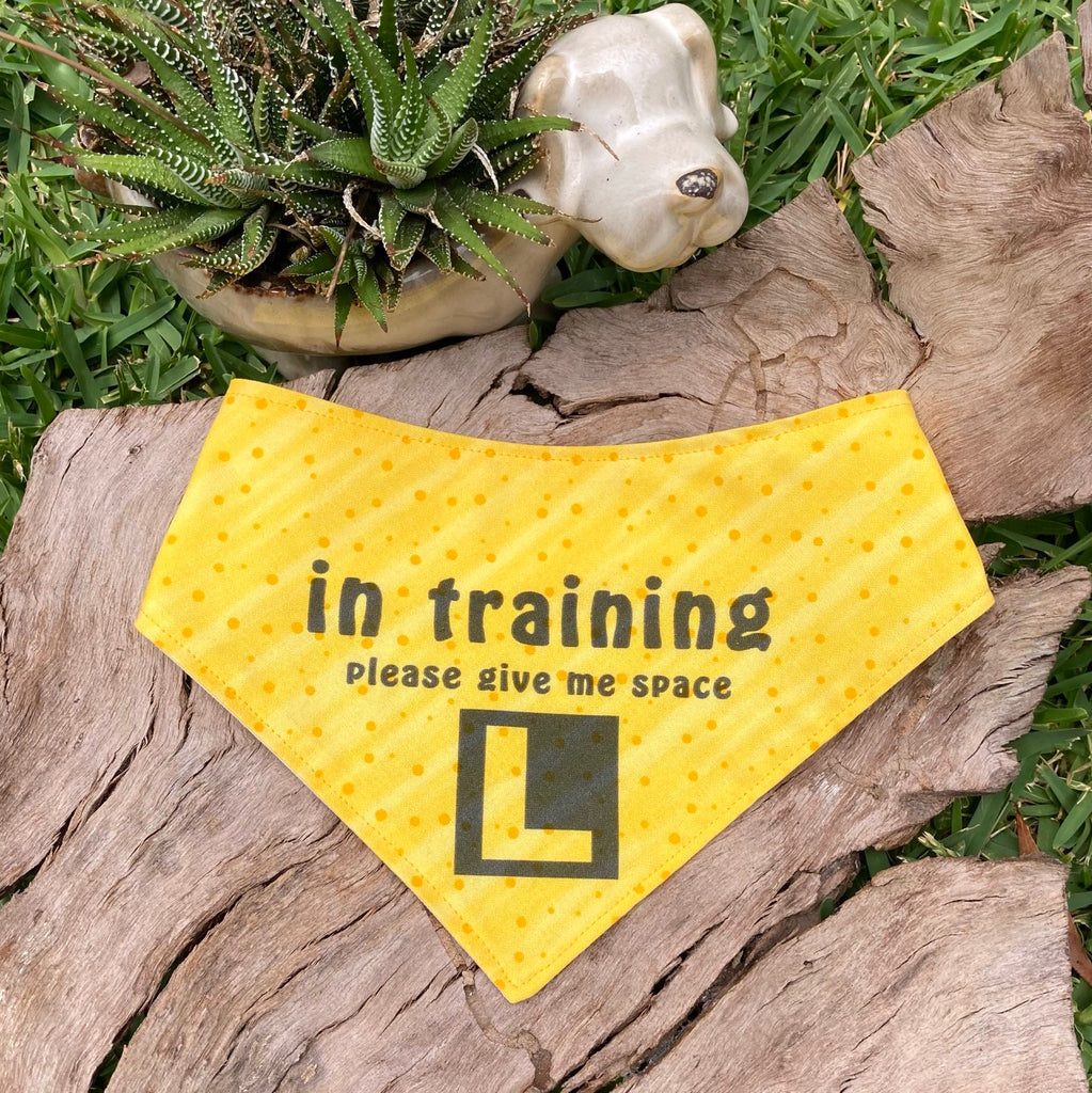 "In Training Please Give Me Space - L Plate" Handmade Dog Bandana - Yellow Raindrops