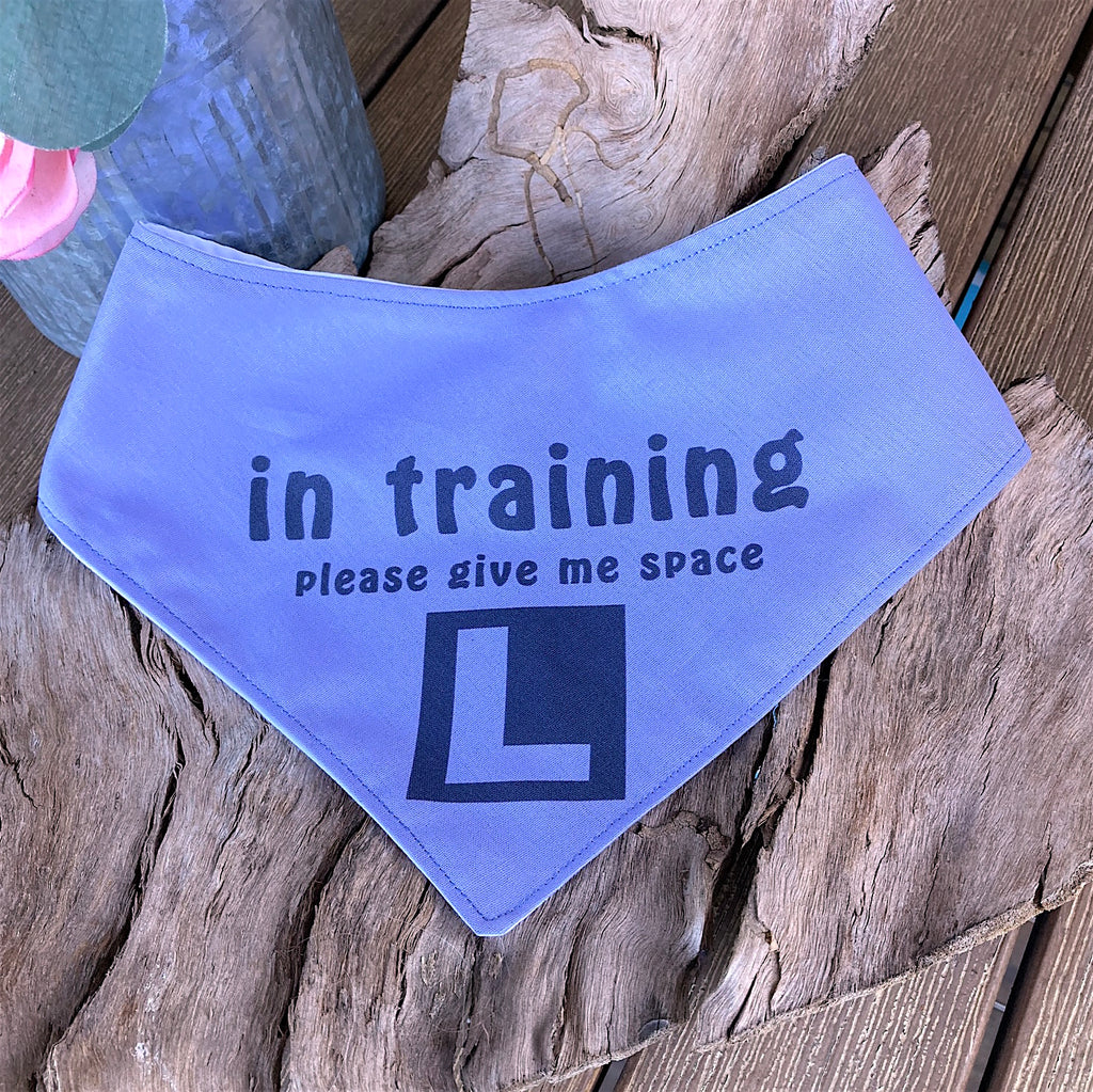 "In Training Please Give Me Space - L Plate" Handmade Dog Bandana - Soft Purple