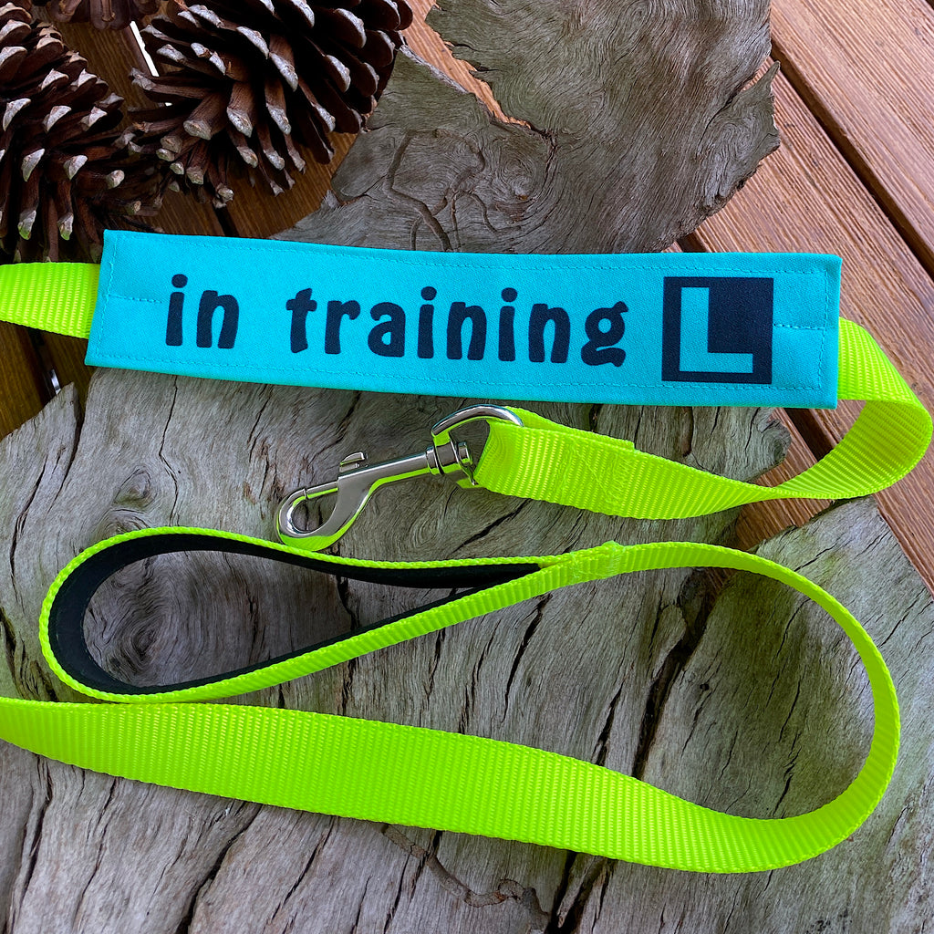 "IN TRAINING" Bandana and Lead/Collar Strap Set" - Teal