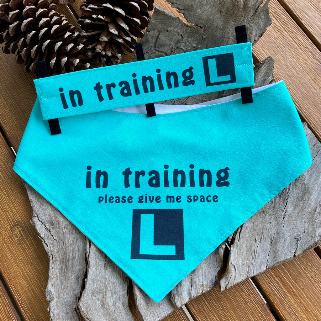 "IN TRAINING" Bandana and Lead/Collar Strap Set" - Teal