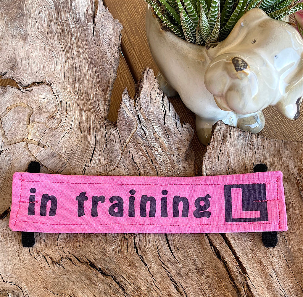 "IN TRAINING" Lead/Collar Strap - Bright Pink