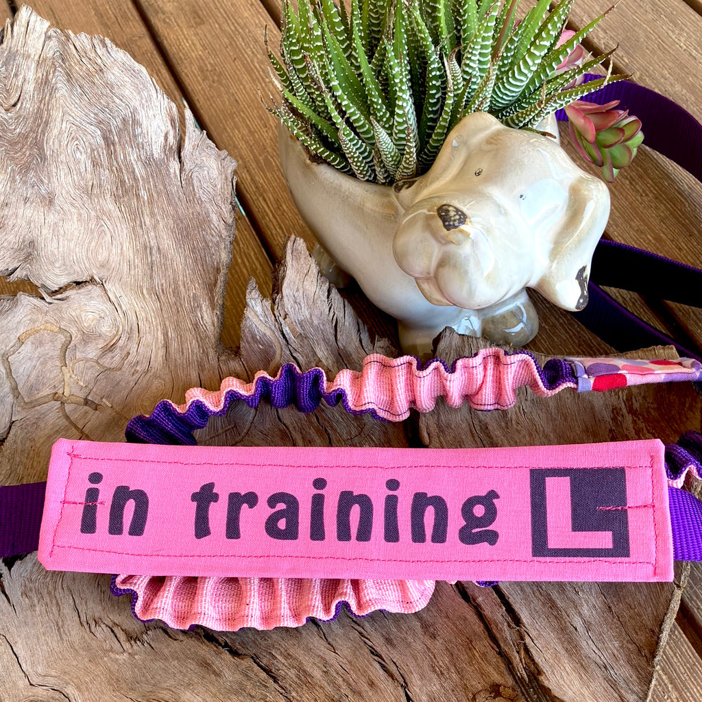 "IN TRAINING" Lead/Collar Strap - Bright Pink