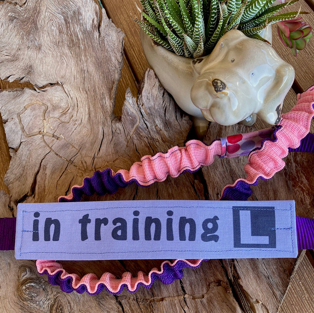 "IN TRAINING" Lead/Collar Strap - Soft Purple