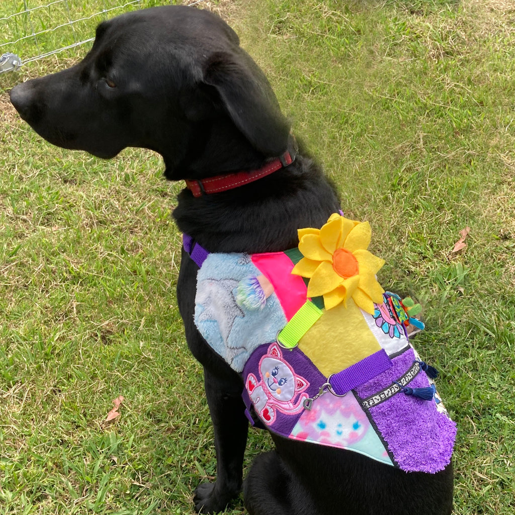 Custom Made Fine Motor Skills / Sensory Therapy Dog Coat