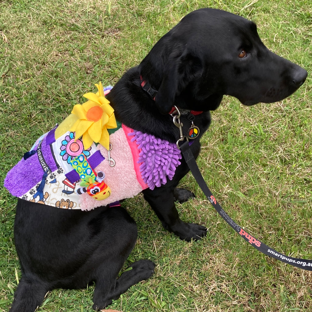 Custom Made Fine Motor Skills / Sensory Therapy Dog Coat