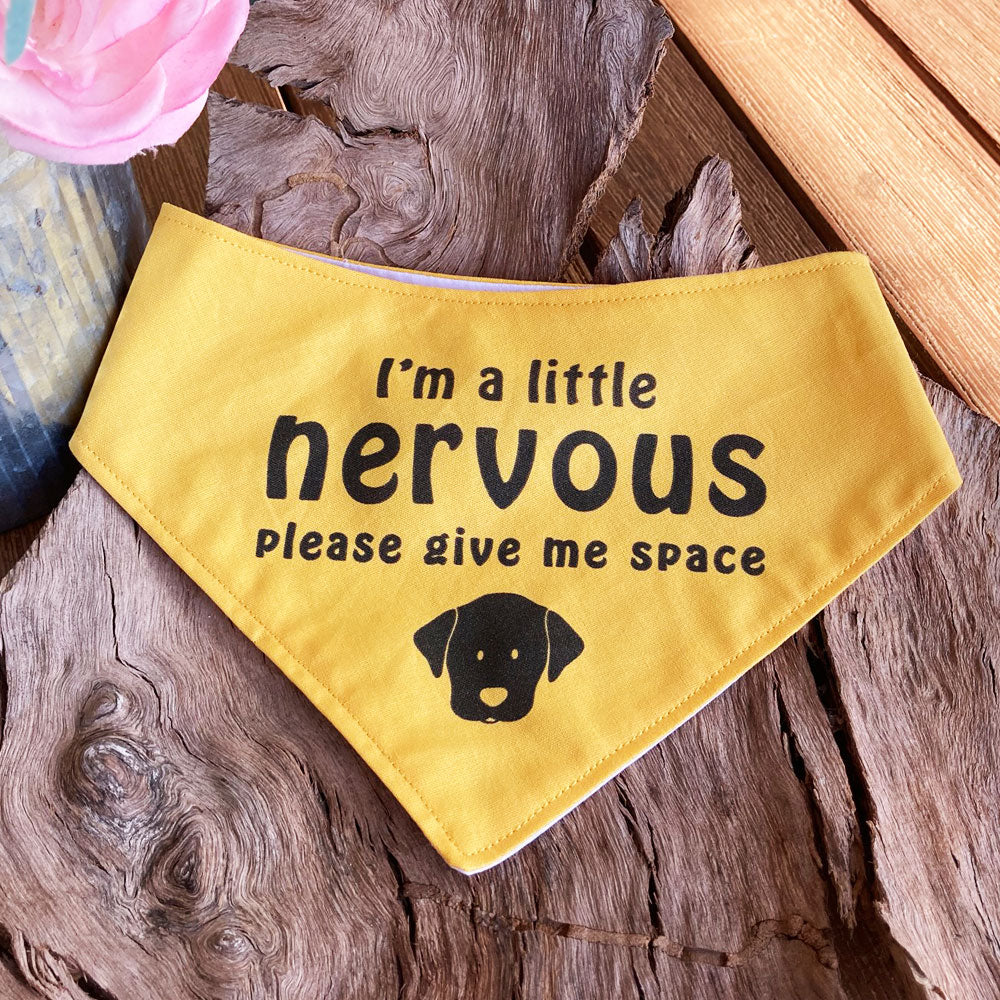 "NERVOUS DOG Bandana and Lead/Collar Strap Set" - Plain Yellow