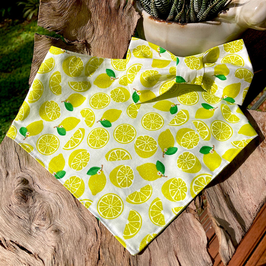 Handmade Dog Tie On Bandana, Bow Tie or Gift Set - GLITTER LEMONS