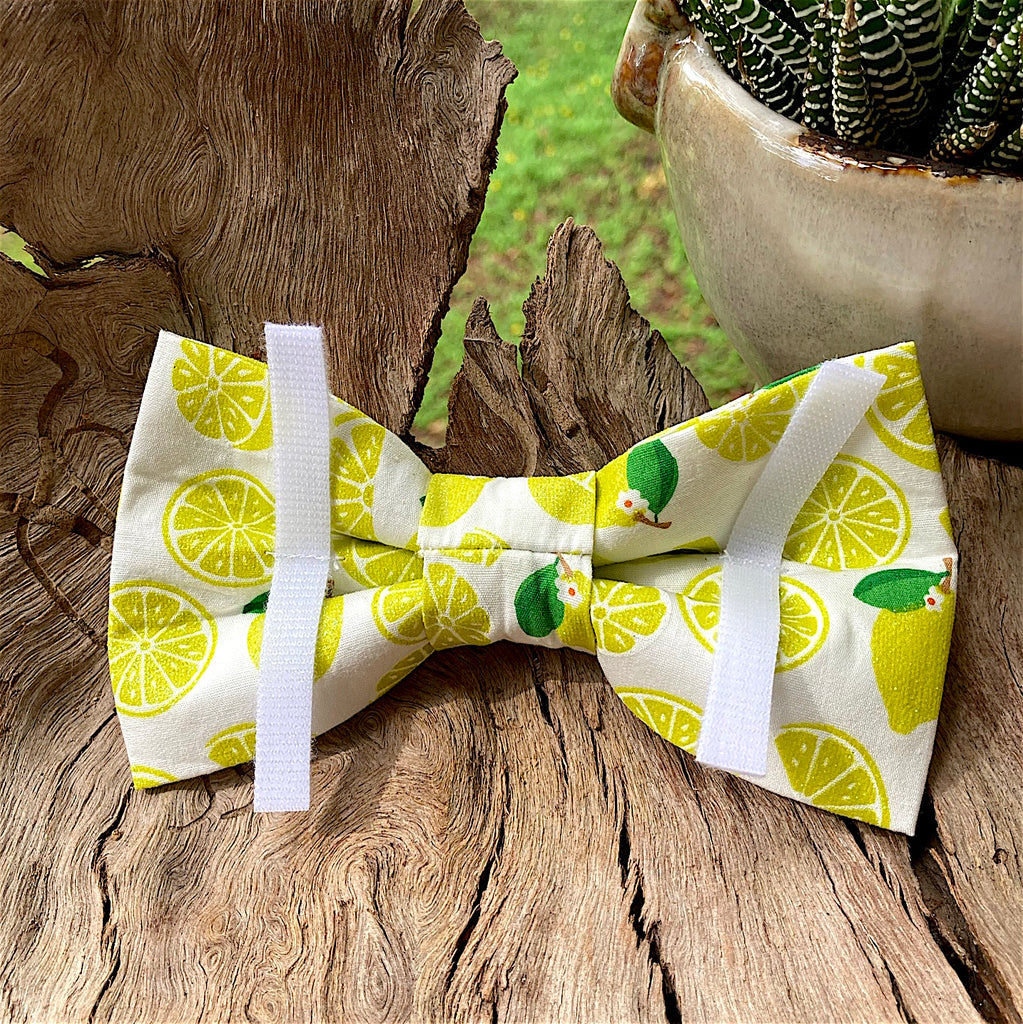 Handmade Dog Tie On Bandana, Bow Tie or Gift Set - GLITTER LEMONS