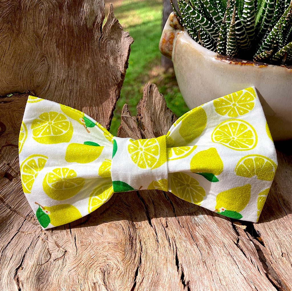 Handmade Dog Tie On Bandana, Bow Tie or Gift Set - GLITTER LEMONS