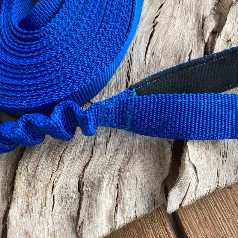 10 metre Long Line Dog Bungee Training Lead/Leash, combining freedom with safety