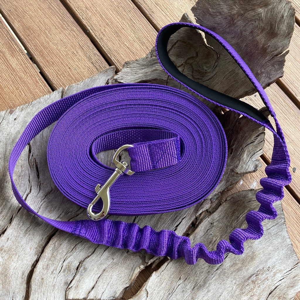 10 metre Long Line Dog Bungee Training Lead/Leash, combining freedom with safety