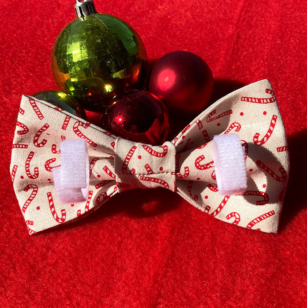 Xmas Dog Bow Tie, Natural/Red "Candy Cane"