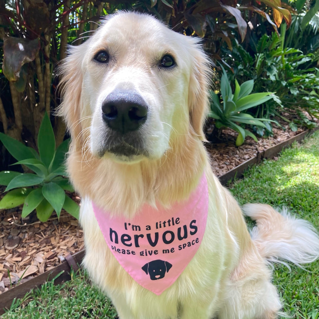"NERVOUS DOG Please Give Me Space" - Bright Pink Bandana