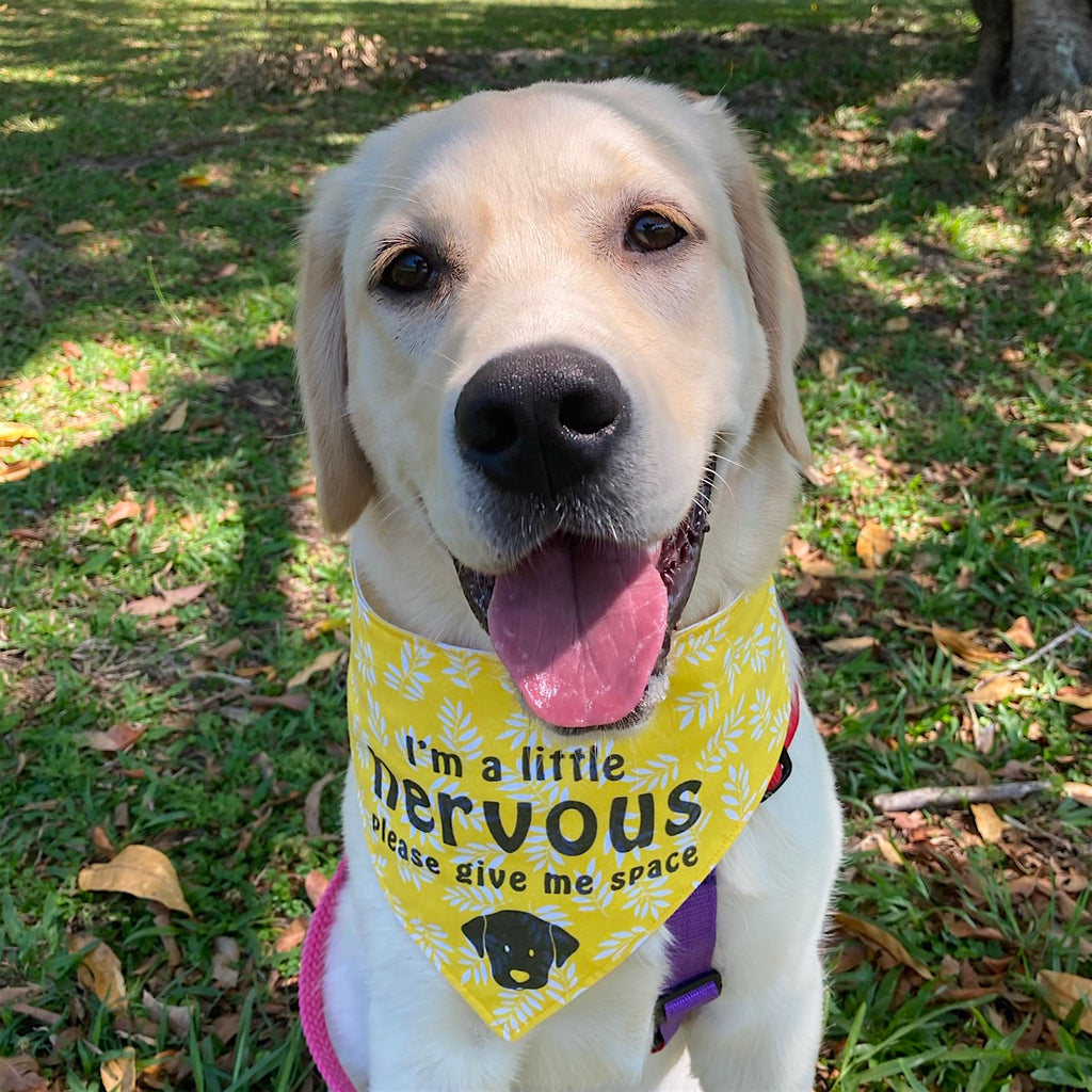 "NERVOUS DOG Please Give Me Space" - Yellow/White Leaf Bandana