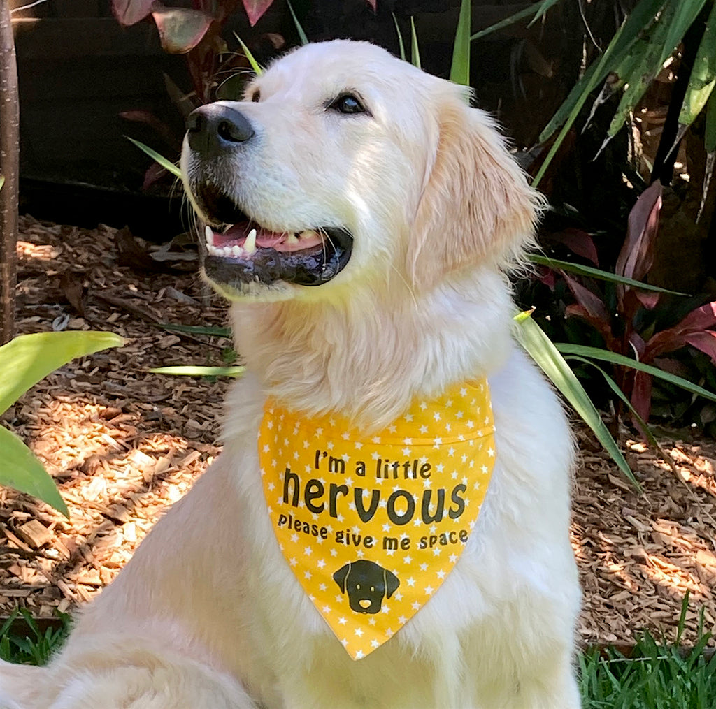 Over the Collar Bandana "NERVOUS DOG Please Give Me Space"