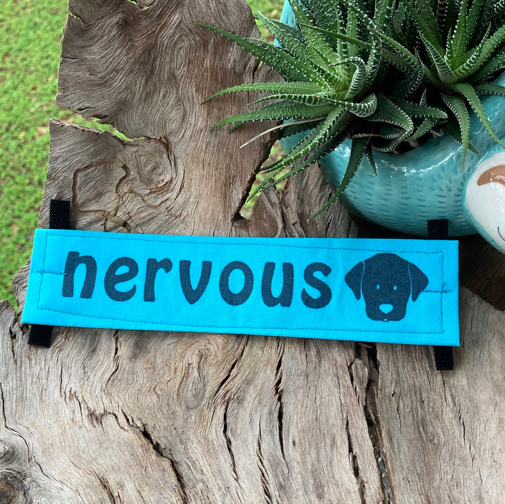 "NERVOUS DOG Lead/Collar Strap" - Bright Blue