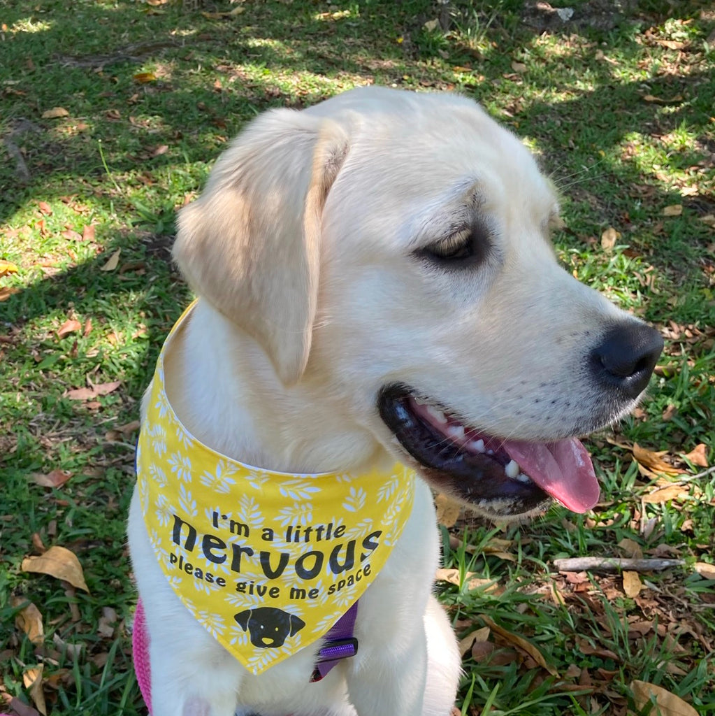 "NERVOUS DOG Please Give Me Space" - Yellow/White Leaf Bandana