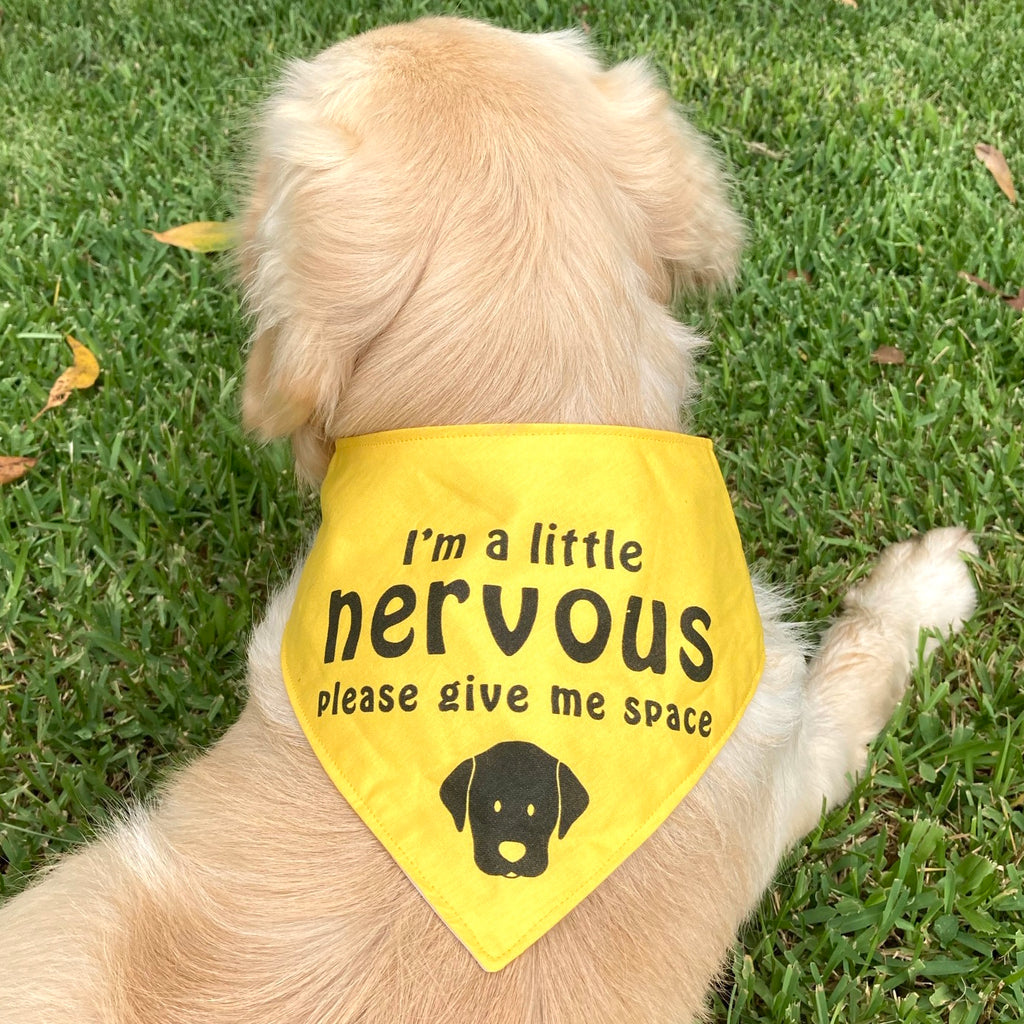 "NERVOUS DOG Bandana and Lead/Collar Strap Set" - Plain Yellow