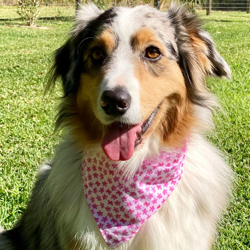 Handmade Dog Tie On Bandana, "Little Pink Flowers"