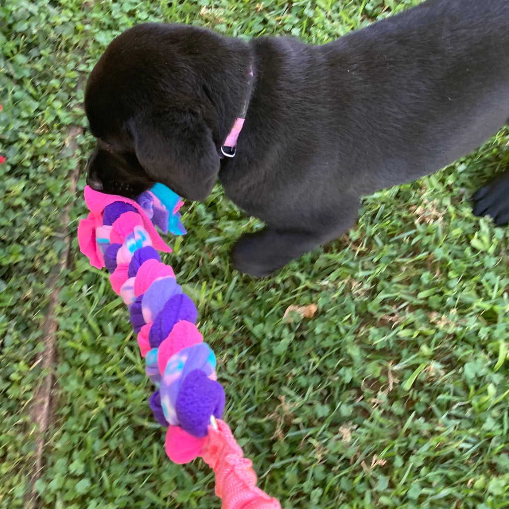 Plaited Bungee Fleece Tug Toy, Puppy Enrichment Game
