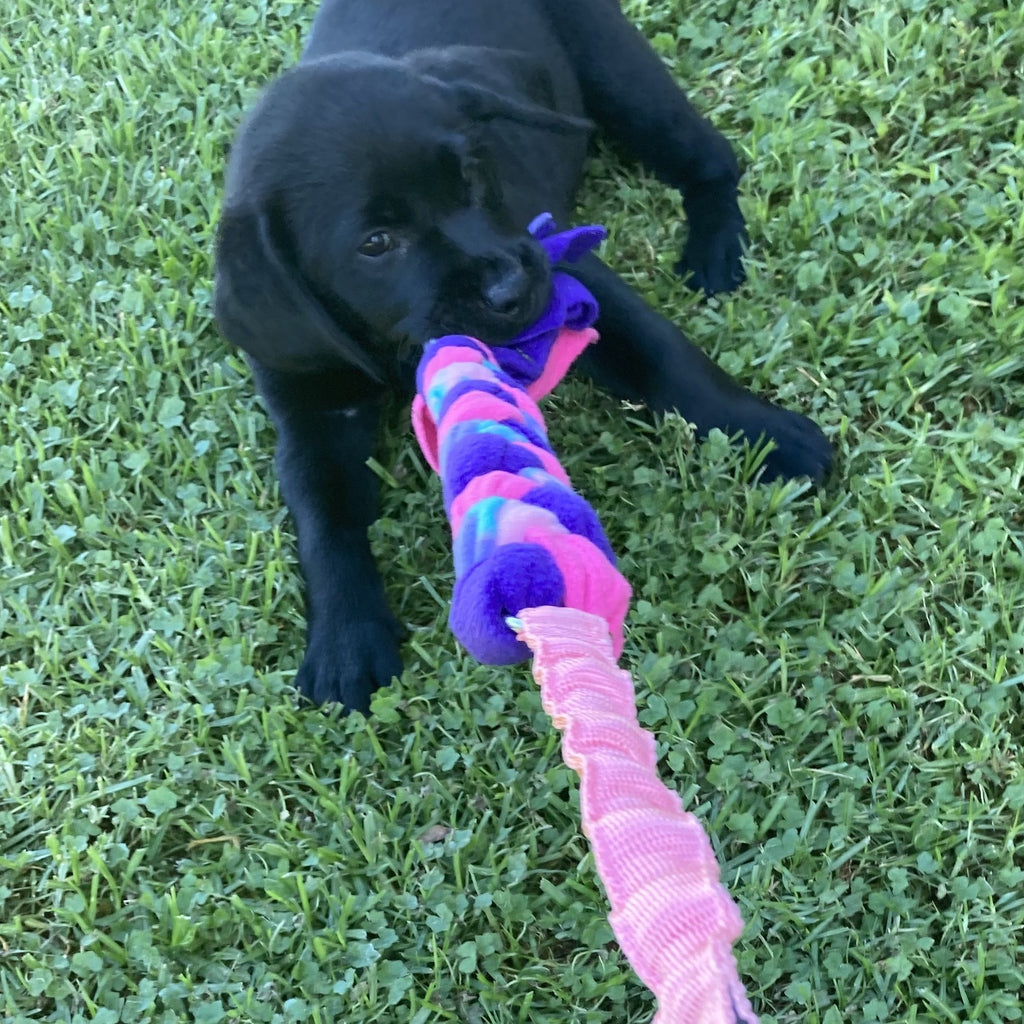 Plaited Bungee Fleece Tug Toy, Puppy Enrichment Game