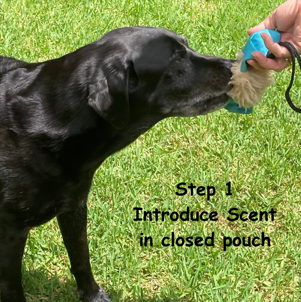 "Dummy Prey" Cylinder Pouch, Great for Recall & Scent Training