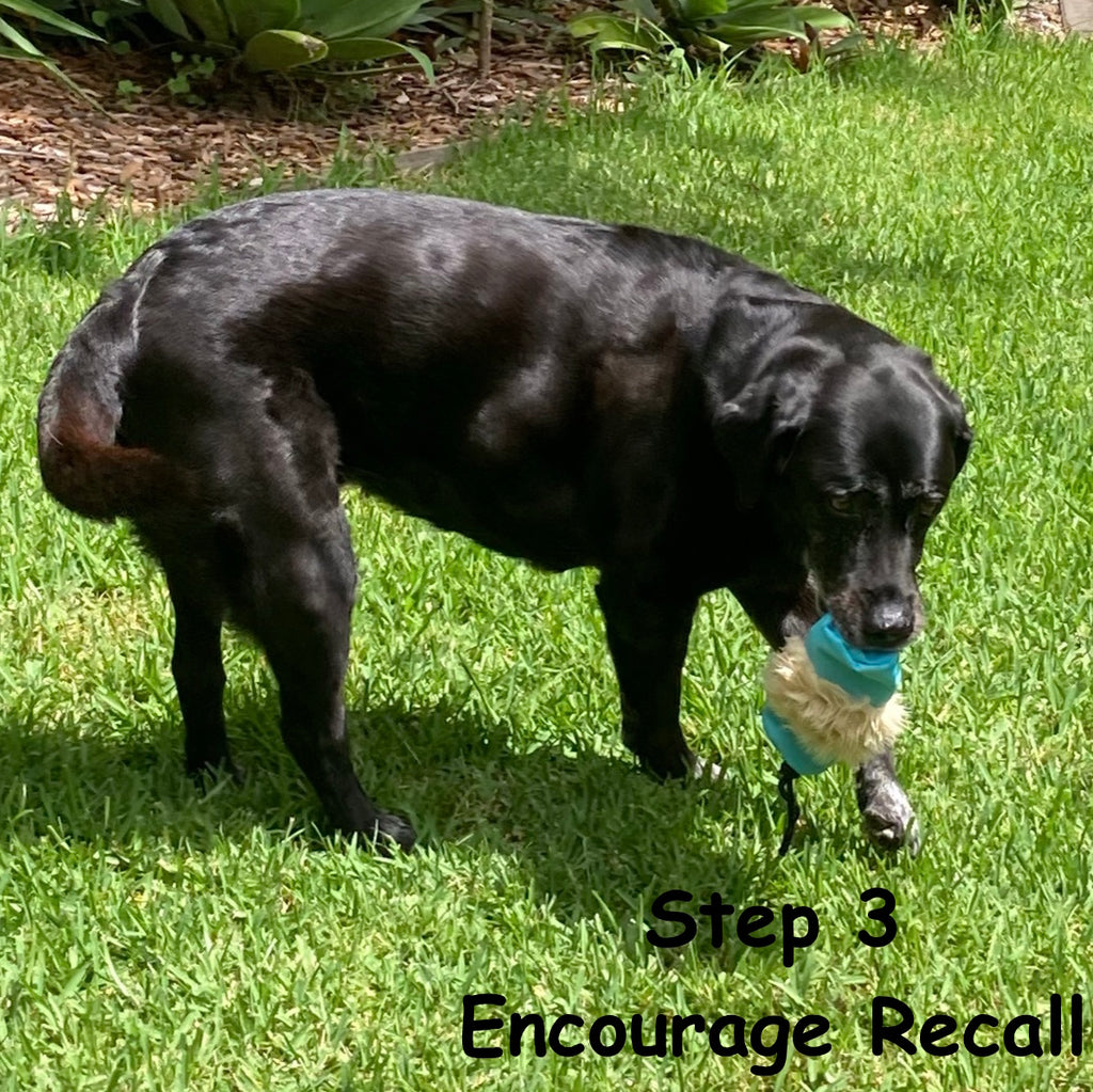 "Dummy Prey" Cylinder Pouch, Great for Recall & Scent Training