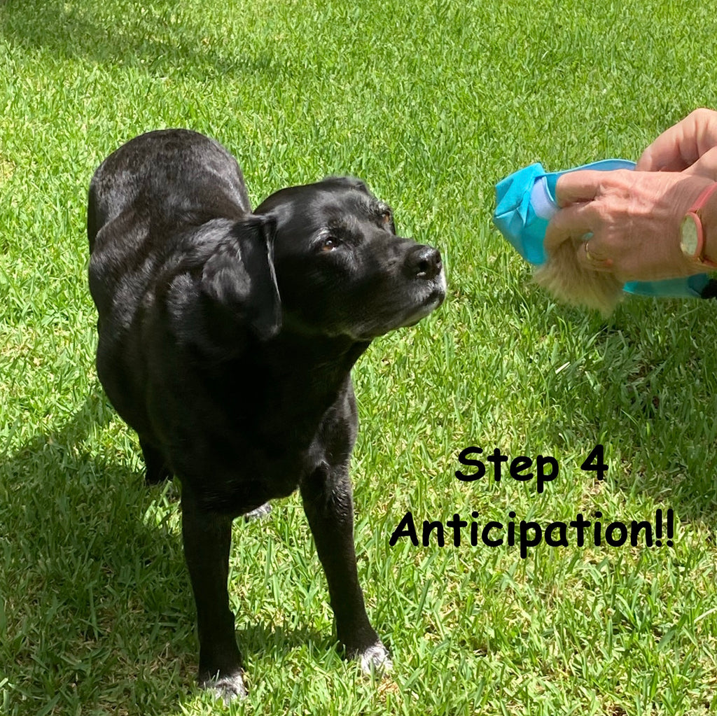"Dummy Prey" Cylinder Pouch, Great for Recall & Scent Training