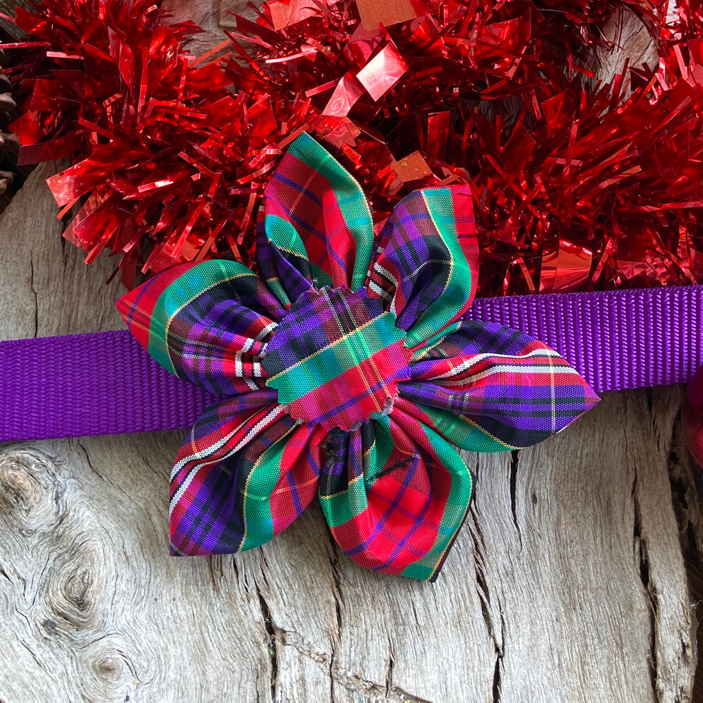 Christmas Collection - PURPLE TARTAN