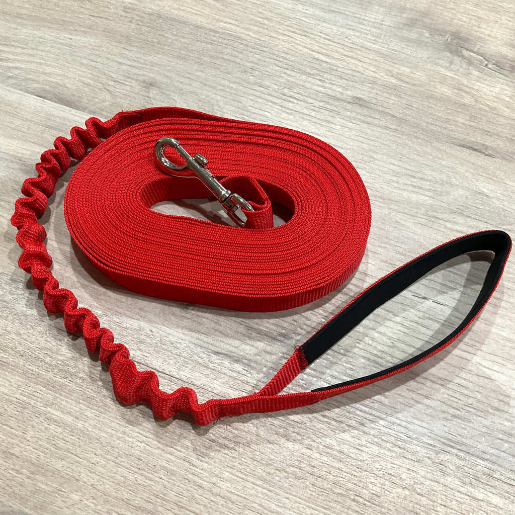 10 metre Long Line Dog Bungee Training Lead/Leash, combining freedom with safety