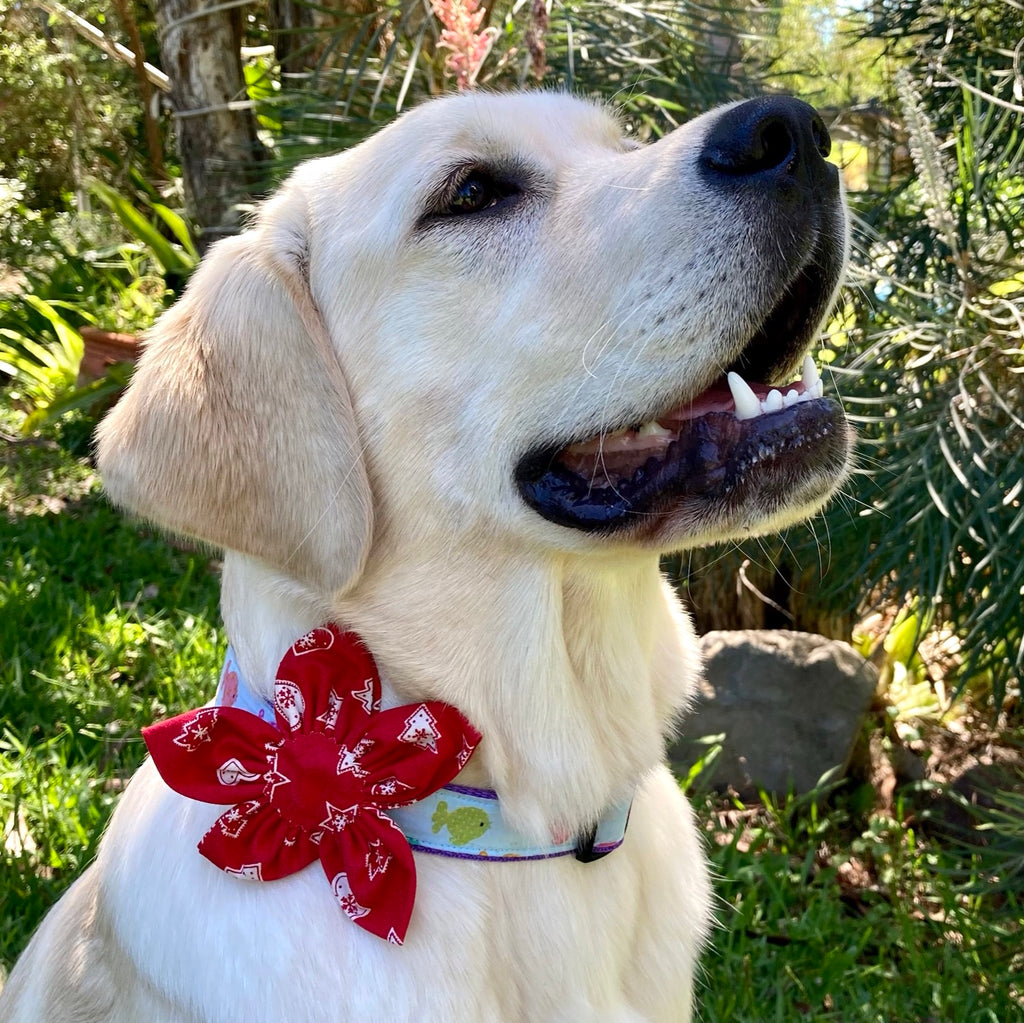 Reds Xmas Trees & Hearts Collar Flower