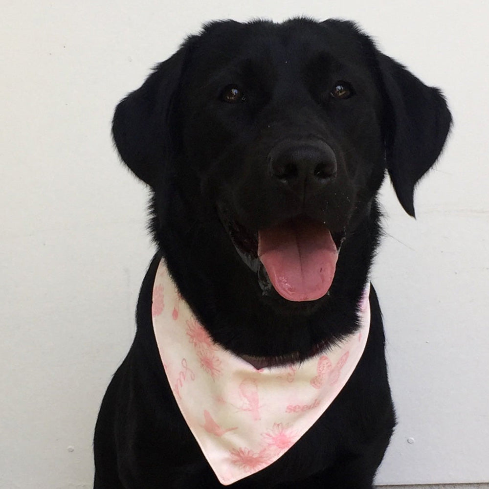 Handmade Dog Tie On Bandana, Pink "Wildflowers"
