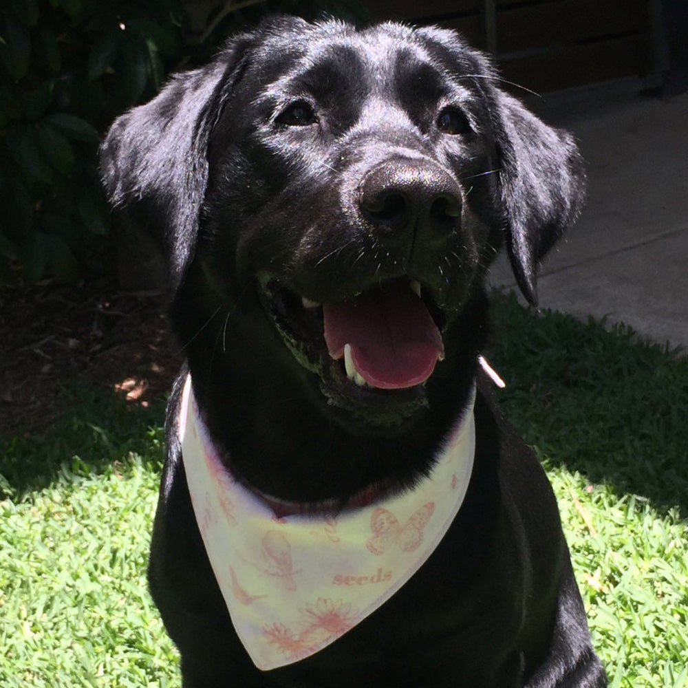 Handmade Dog Tie On Bandana, Pink "Wildflowers"