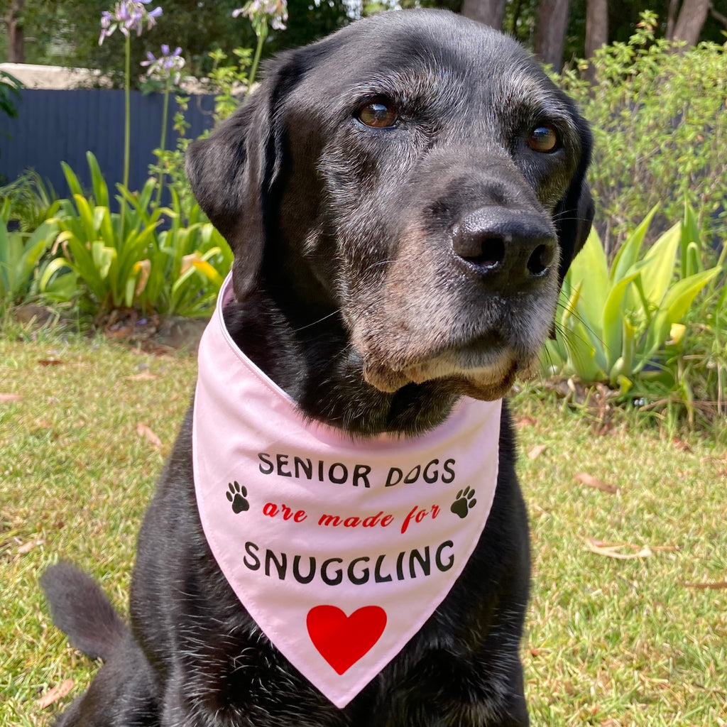 Vinyl Transfer Print Dog Bandana - SENIOR DOGS are made for SNUGGLING - Your Fabric Choice