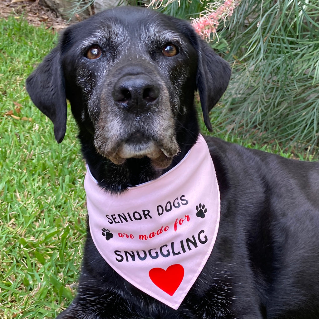 Vinyl Transfer Print Dog Bandana - SENIOR DOGS are made for SNUGGLING - Your Fabric Choice