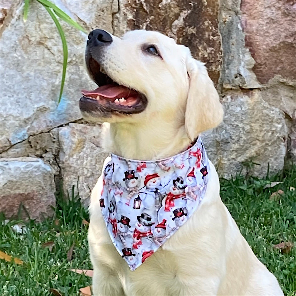 Xmas Dog Bandana, Jolly Snowmen Fabric