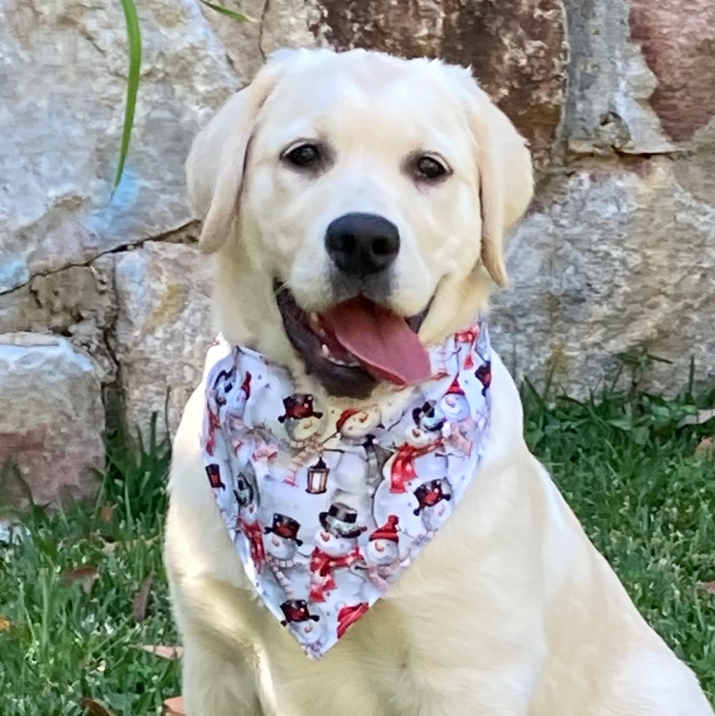 Xmas Dog Bandana, Jolly Snowmen Fabric