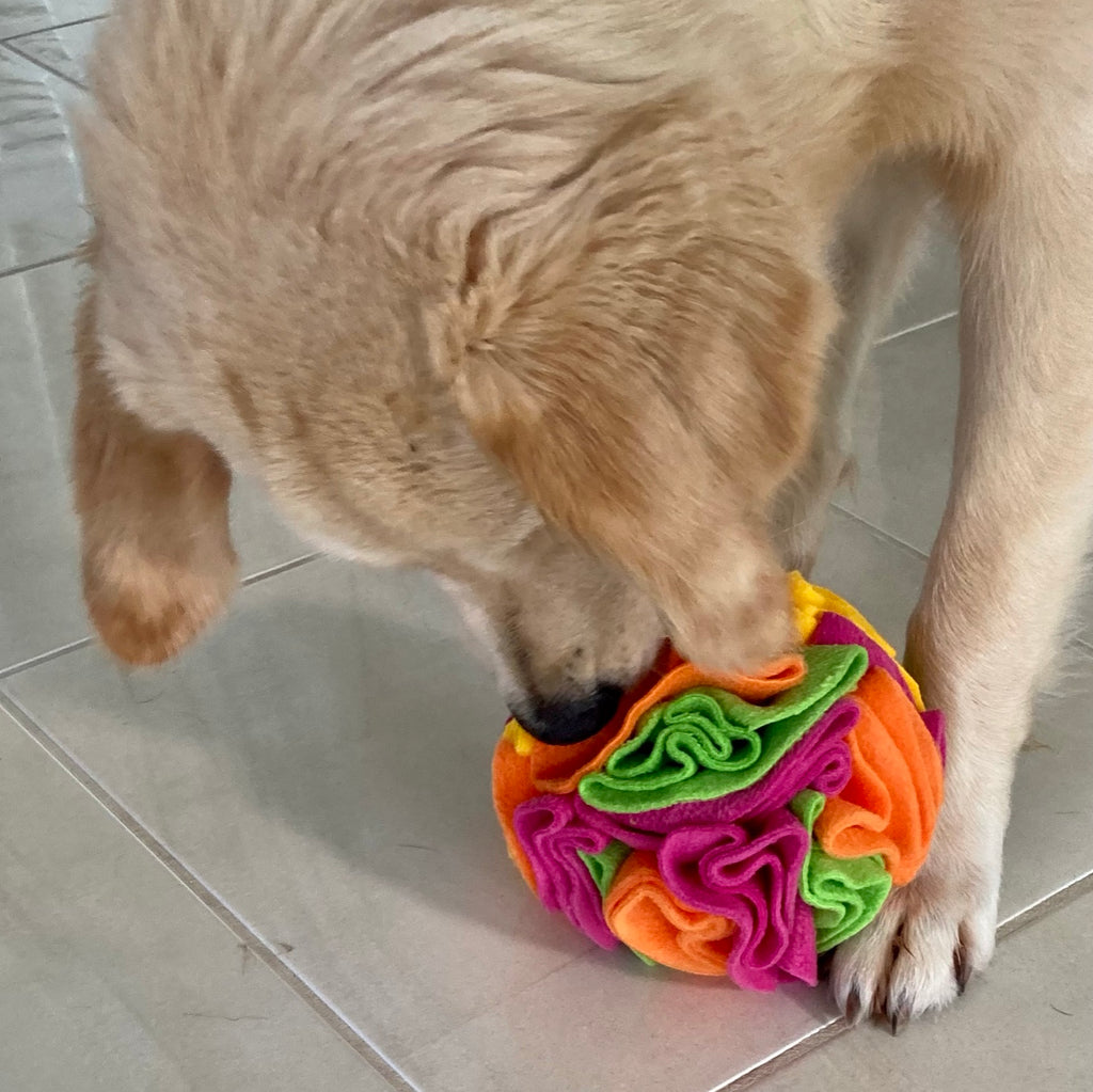 Fleece Snuffle Puzzle Ball, Dog Enrichment Puzzle - Choice of Colour