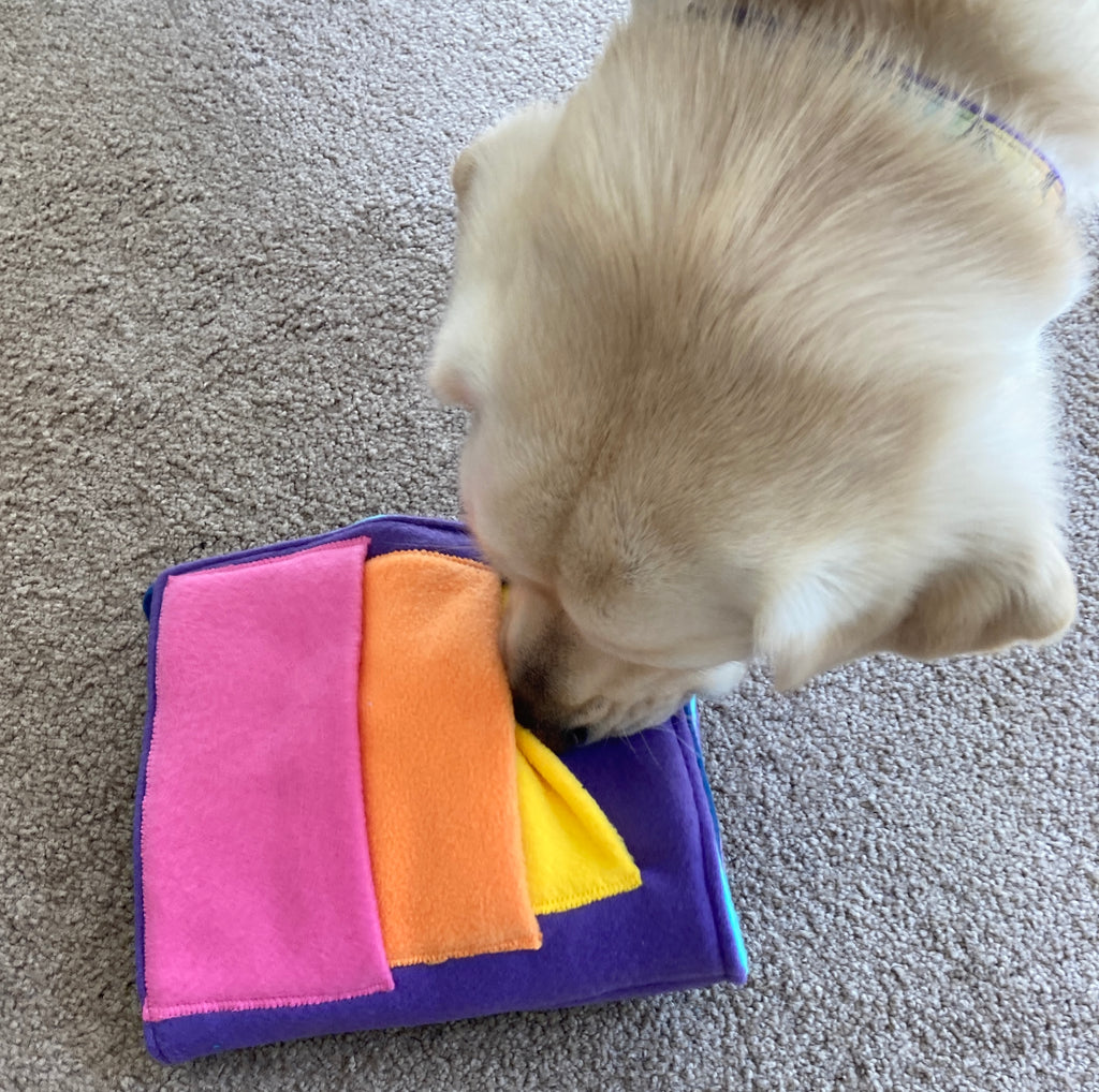 Snuffle Puzzle Book - Choice of colours, Canine Enrichment Activity