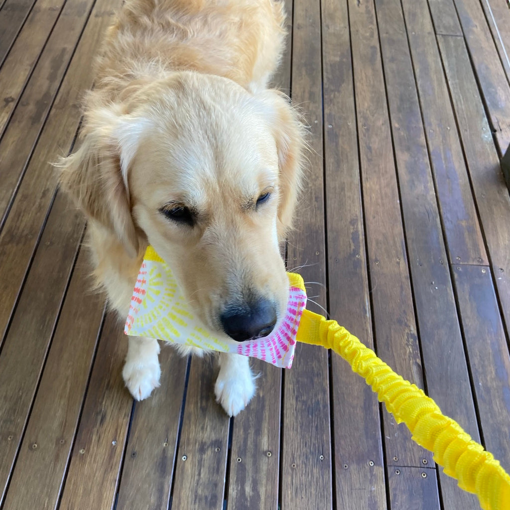 Bungee Snuffle Treat Pockets, Great for Mental stimulation & Scent Training