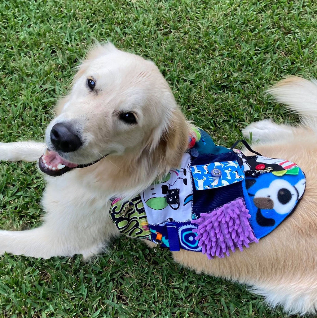 Custom Made Fine Motor Skills / Sensory Therapy Dog Coat